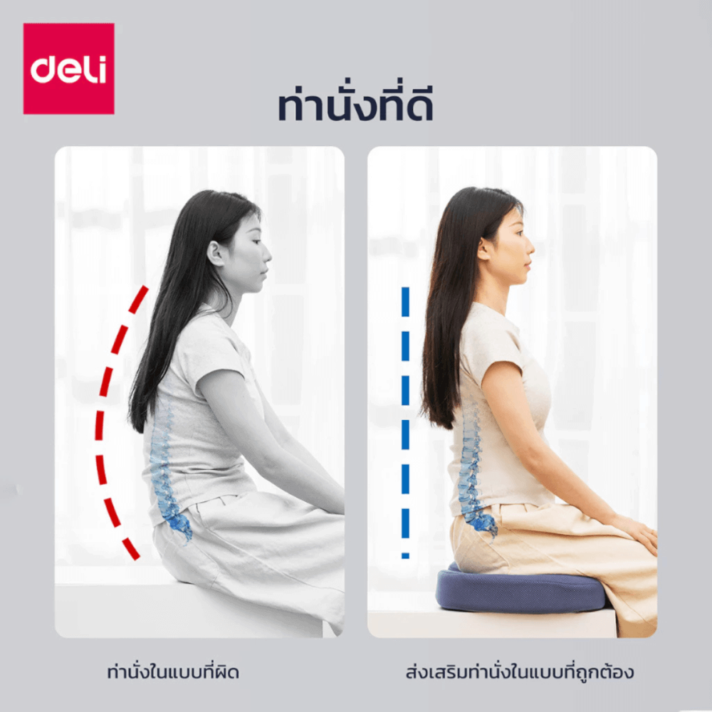 เบาะรองหลังเพื่อสุขภาพ DELI VS753-BK-01 สีดำ ขนาด 32X34X12 CM